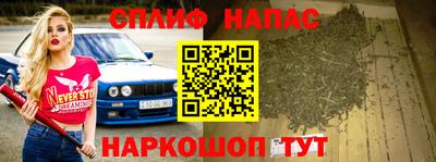 индика Будённовск