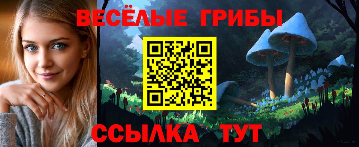 Галлюциногенные грибы Psilocybine cubensis Лабинск